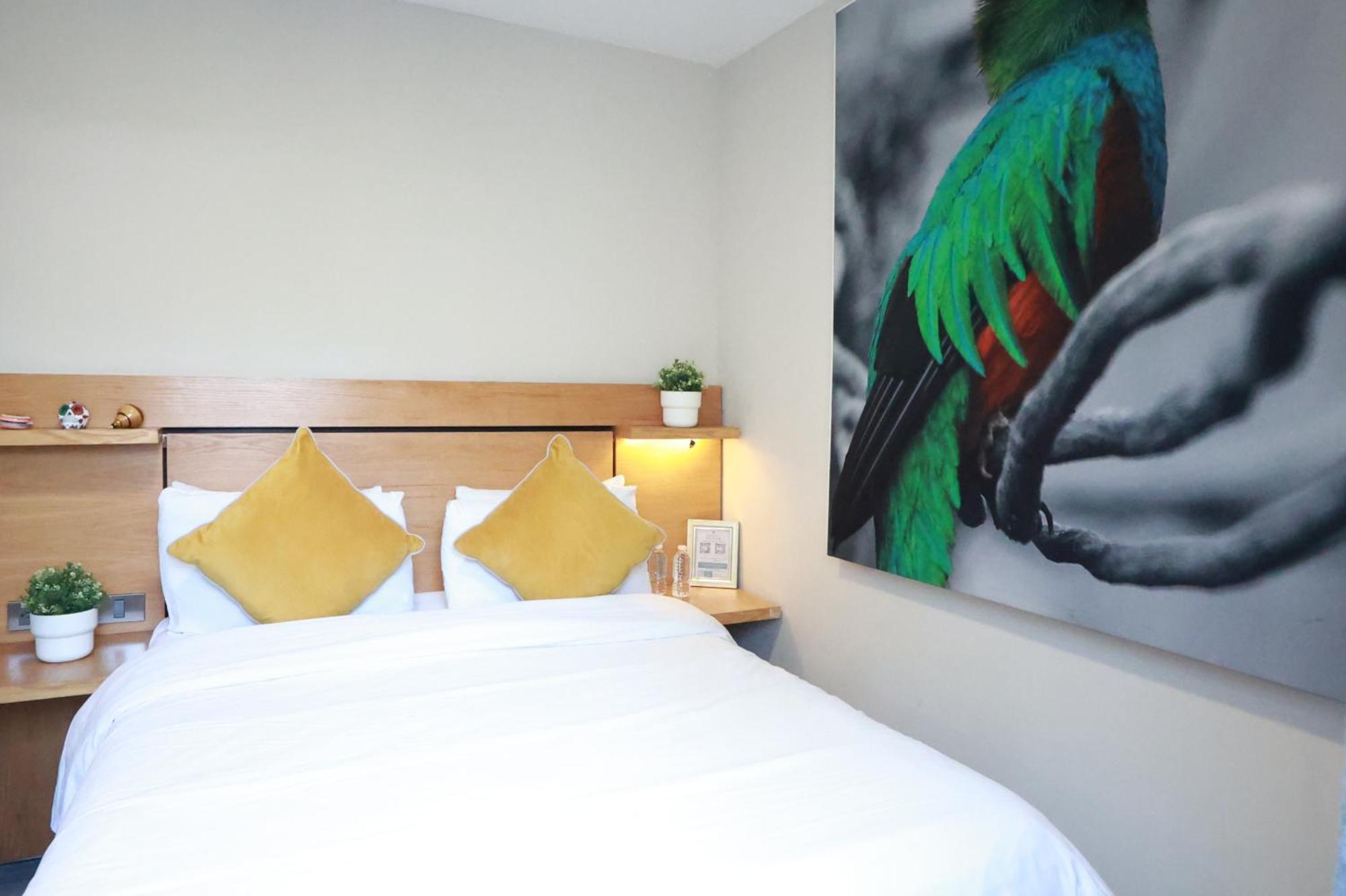 Casa Panuco Bed & Breakfast Mexico City Ngoại thất bức ảnh