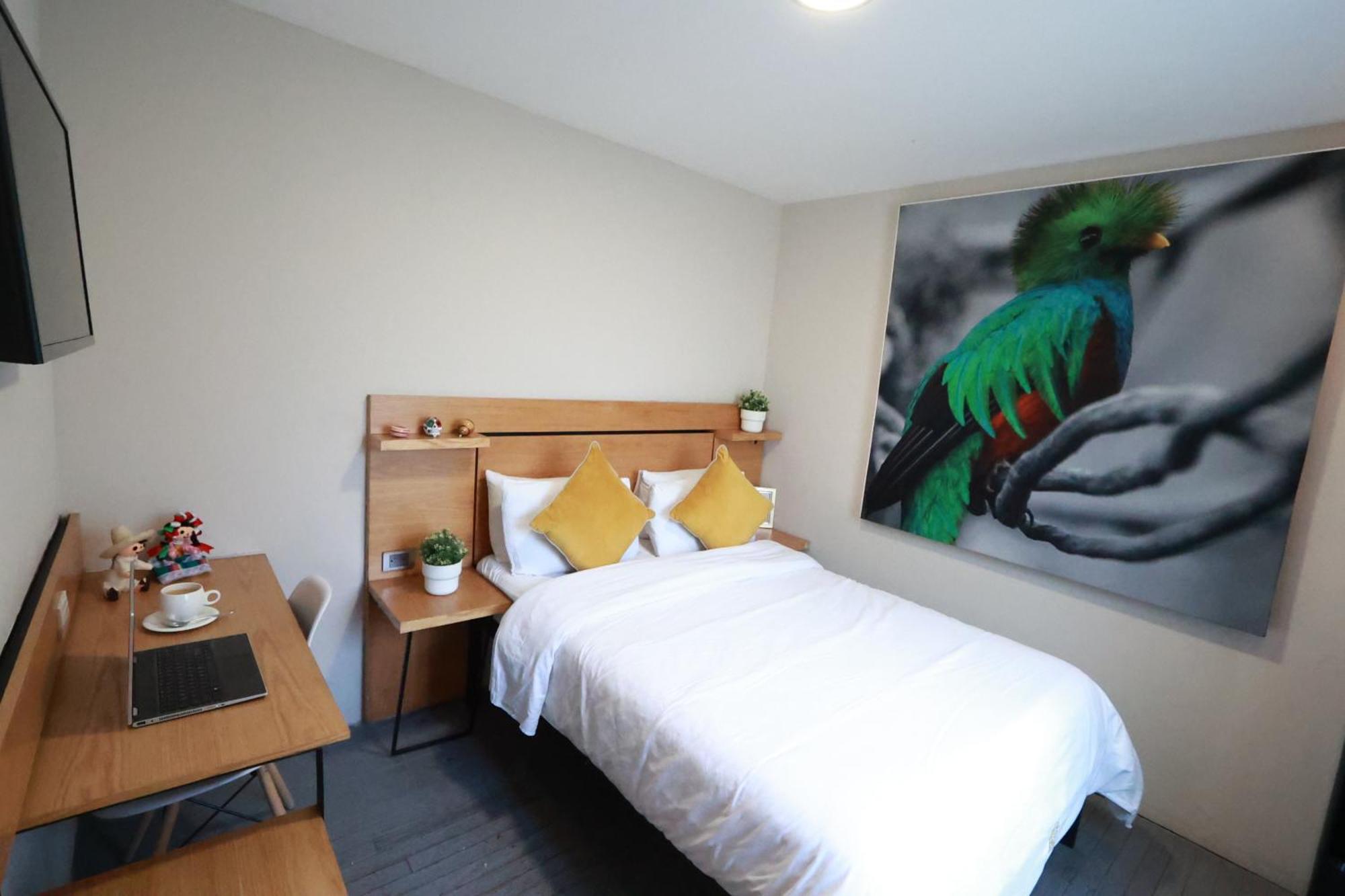 Casa Panuco Bed & Breakfast Mexico City Ngoại thất bức ảnh